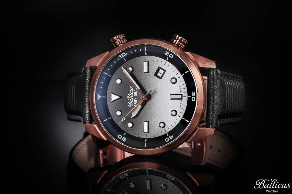 Balticus Grey Seal Bronze