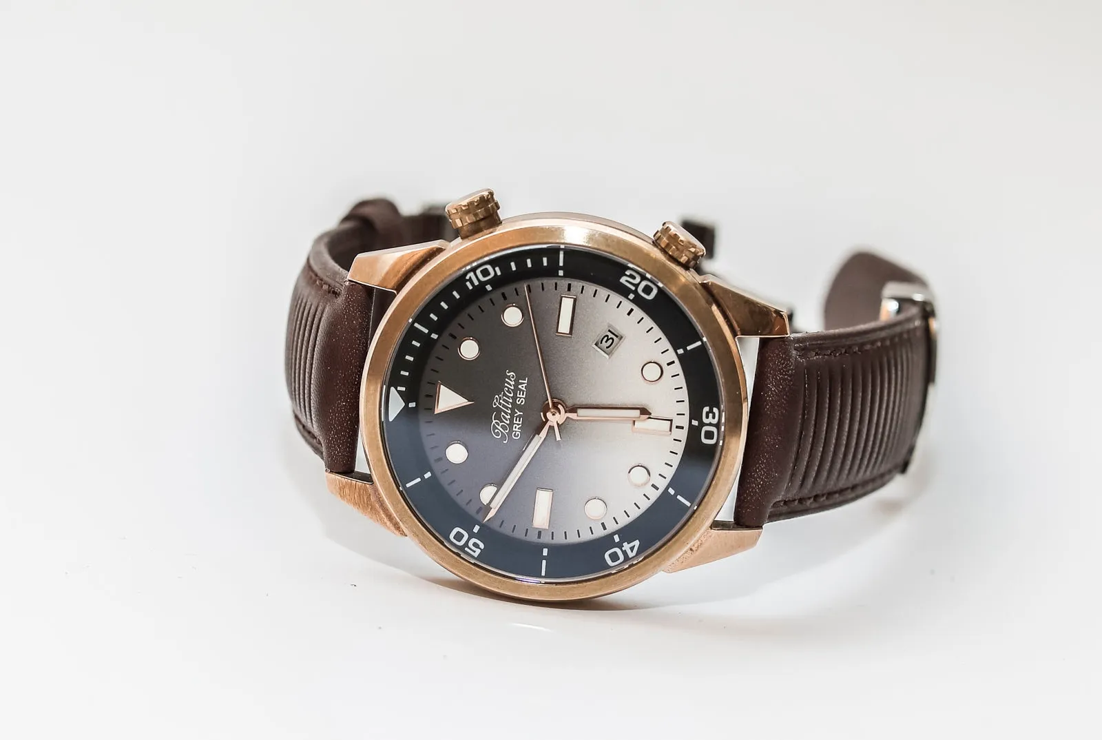 Balticus Grey Seal Bronze