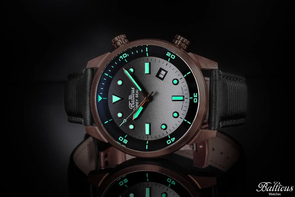 Balticus Grey Seal Bronze