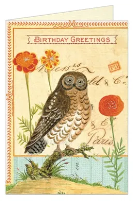 Birthday Greetings Owl Card