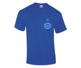 Blazing Blues and Twos Mini Silks