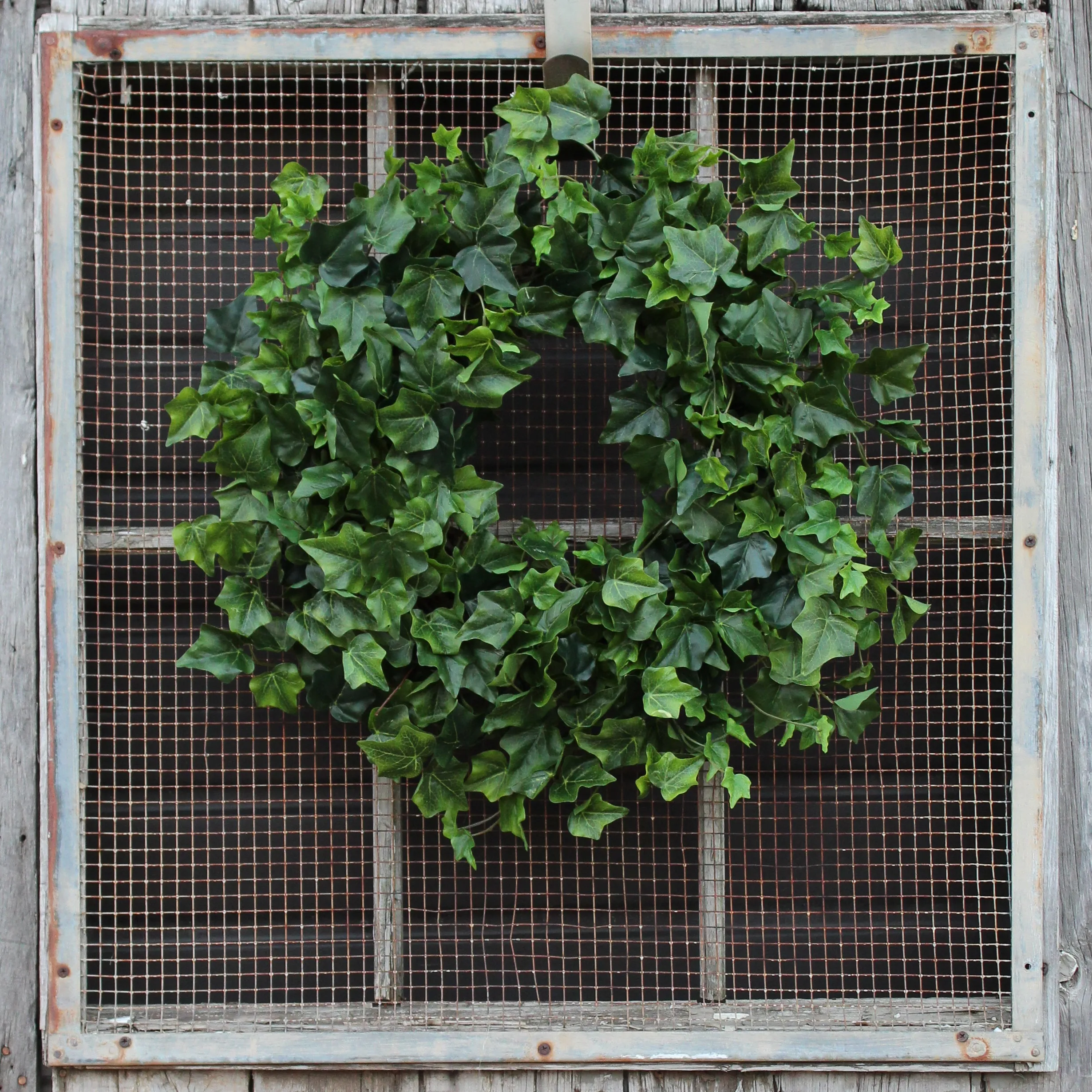 Dark Green Real Touch English Ivy Everyday All Seasons Front Door Wreath