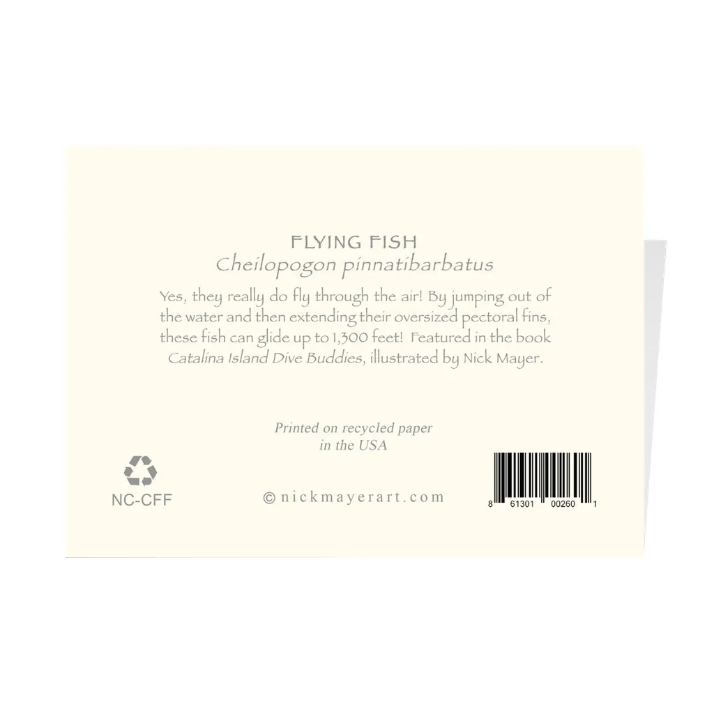 Flying Fish Notecards