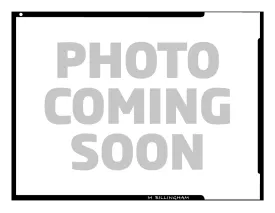 Take 1 Video Bag - Olive Green